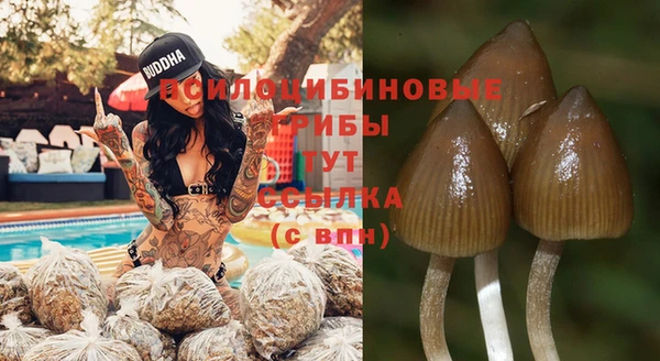 эйфоретик Новодвинск