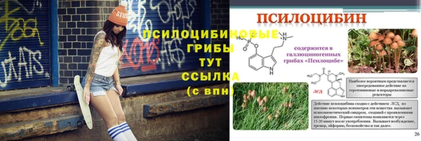 эйфоретик Новодвинск