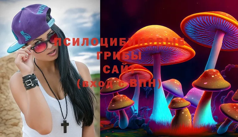 Галлюциногенные грибы Psilocybine cubensis  Полярные Зори 