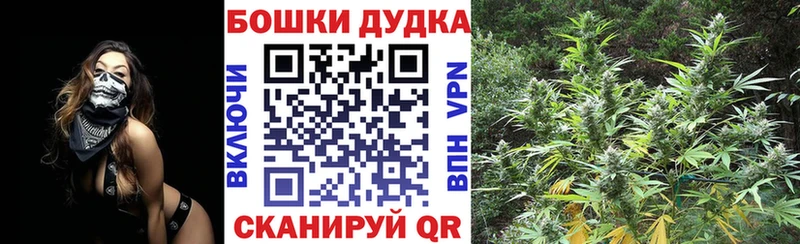 Бошки Шишки Bruce Banner  закладки  кракен сайт  Полярные Зори 